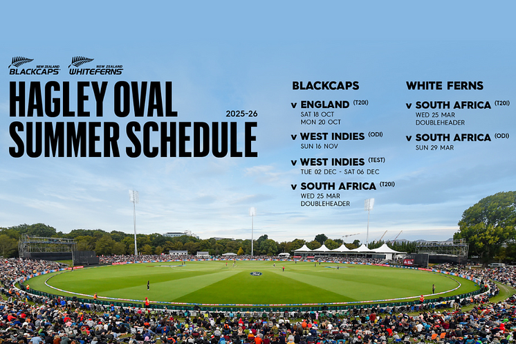 Venues Hagley Matches